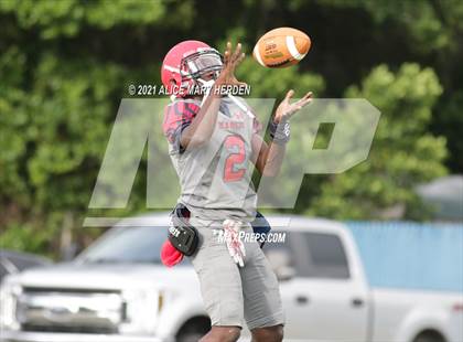 Thumbnail 2 in Weeki Wachee @ Springstead photogallery.