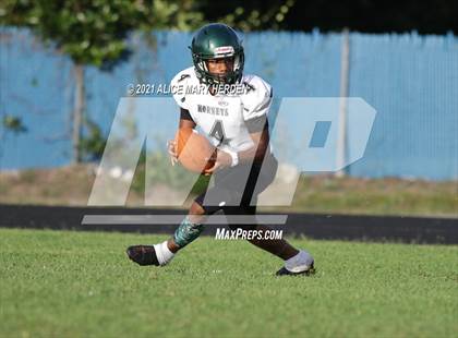 Thumbnail 1 in Weeki Wachee @ Springstead photogallery.