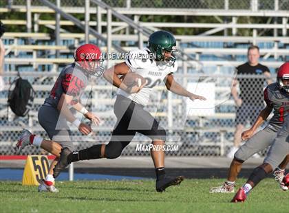 Thumbnail 1 in Weeki Wachee @ Springstead photogallery.