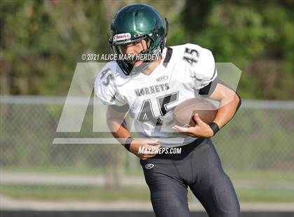 Thumbnail 1 in Weeki Wachee @ Springstead photogallery.