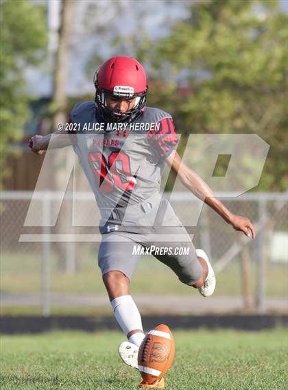 Thumbnail 1 in Weeki Wachee @ Springstead photogallery.