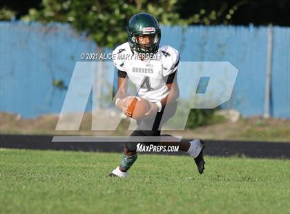 Thumbnail 2 in Weeki Wachee @ Springstead photogallery.