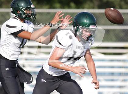 Thumbnail 2 in Weeki Wachee @ Springstead photogallery.