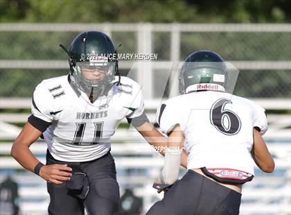 Thumbnail 3 in Weeki Wachee @ Springstead photogallery.