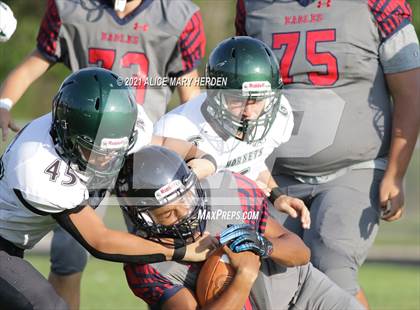 Thumbnail 3 in Weeki Wachee @ Springstead photogallery.