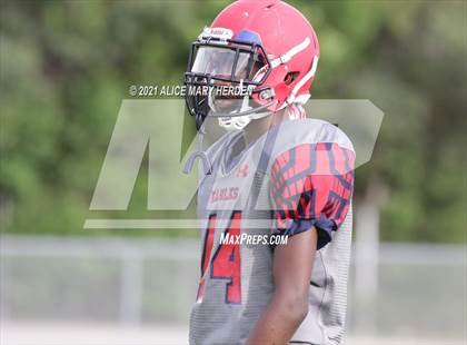 Thumbnail 3 in Weeki Wachee @ Springstead photogallery.