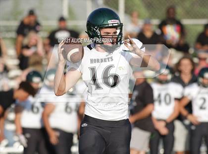 Thumbnail 1 in Weeki Wachee @ Springstead photogallery.