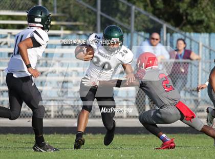 Thumbnail 2 in Weeki Wachee @ Springstead photogallery.
