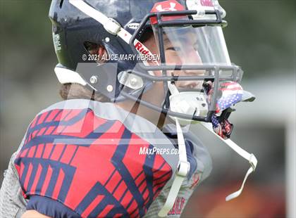 Thumbnail 3 in Weeki Wachee @ Springstead photogallery.