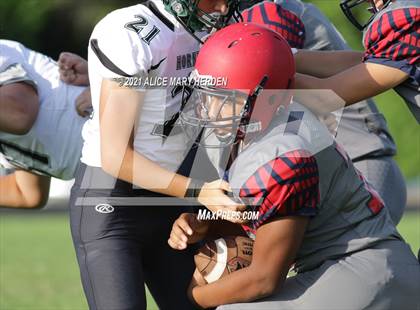 Thumbnail 1 in Weeki Wachee @ Springstead photogallery.
