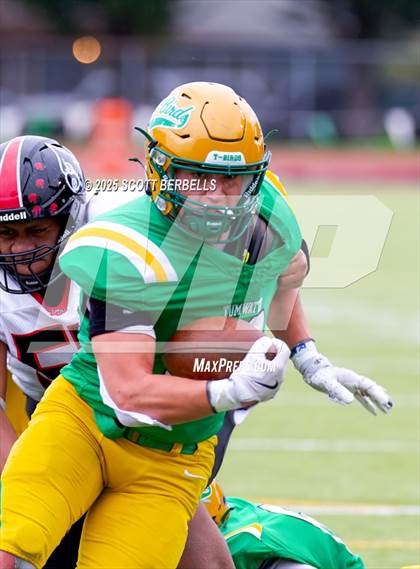 Thumbnail 2 in Franklin Pierce @ Tumwater (WIAA 2A Quarterfinal) photogallery.