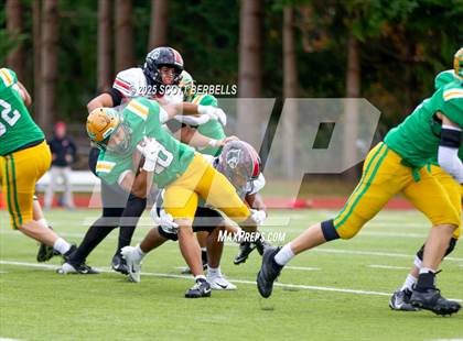 Thumbnail 1 in Franklin Pierce @ Tumwater (WIAA 2A Quarterfinal) photogallery.