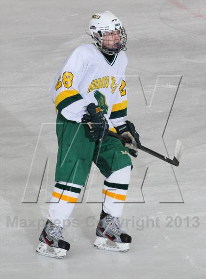 Thumbnail 3 in Randolph @ Morris Knolls photogallery.