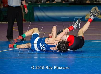 Thumbnail 2 in NYSPHSAA Wrestling Championships (Division 1 First Round) photogallery.