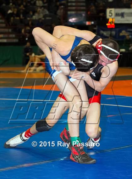 Thumbnail 1 in NYSPHSAA Wrestling Championships (Division 1 First Round) photogallery.