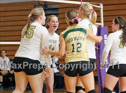 Thumbnail 1 in Red Bluff @ Shasta (CIF NS D1 Playoffs) photogallery.