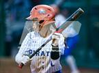 Photo from the gallery "Bear River @ Wheatland"