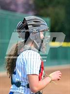 Photo from the gallery "Bear River @ Wheatland"