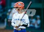 Photo from the gallery "Bear River @ Wheatland"
