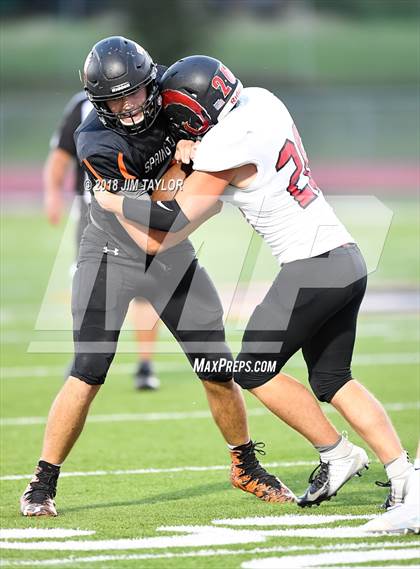 Thumbnail 3 in Mineral Wells(Black) @ Springtown photogallery.
