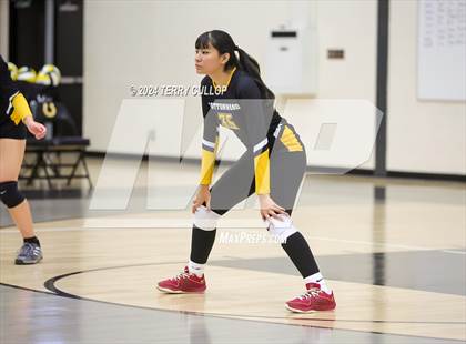 Thumbnail 3 in Summit Academy @ Cottonwood (Sophomore) photogallery.