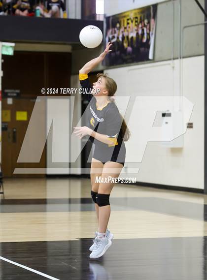Thumbnail 1 in Summit Academy @ Cottonwood (Sophomore) photogallery.