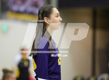 Thumbnail 2 in Summit Academy @ Cottonwood (Sophomore) photogallery.
