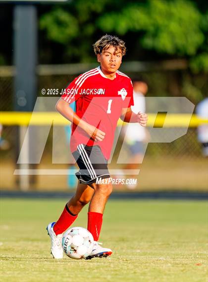 Thumbnail 1 in Southern Lee @ Hoke County photogallery.