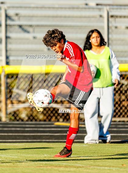 Thumbnail 2 in Southern Lee @ Hoke County photogallery.