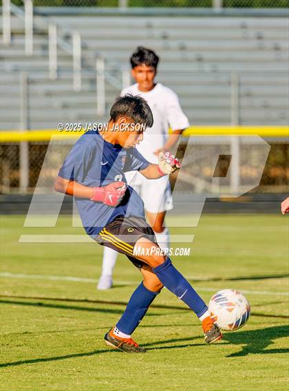 Thumbnail 2 in Southern Lee @ Hoke County photogallery.