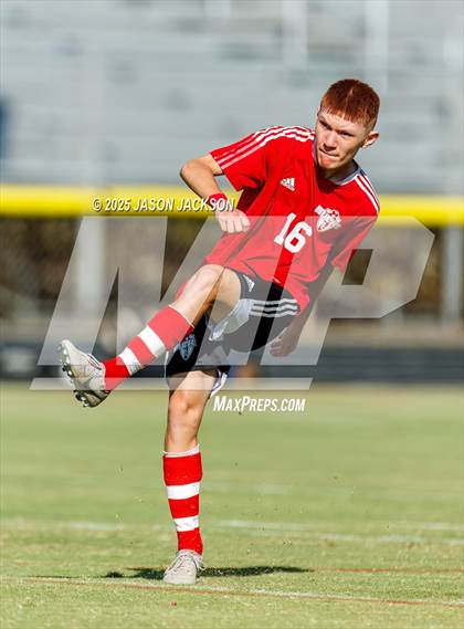 Thumbnail 2 in Southern Lee @ Hoke County photogallery.