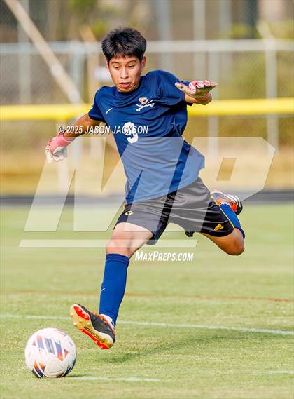 Thumbnail 2 in Southern Lee @ Hoke County photogallery.