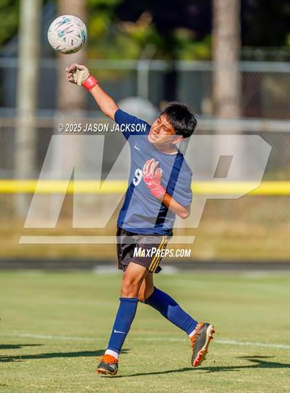 Thumbnail 1 in Southern Lee @ Hoke County photogallery.