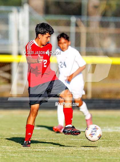 Thumbnail 1 in Southern Lee @ Hoke County photogallery.