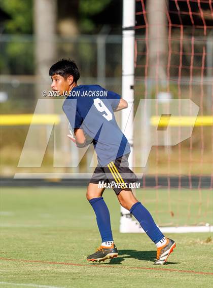 Thumbnail 2 in Southern Lee @ Hoke County photogallery.