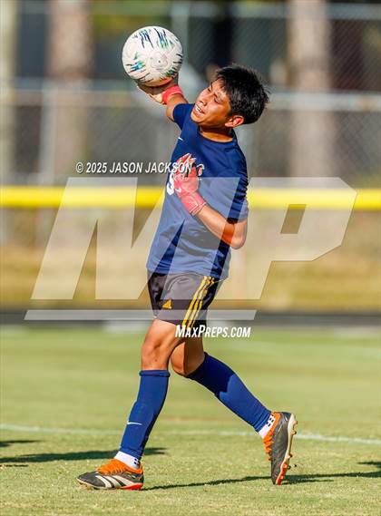 Thumbnail 3 in Southern Lee @ Hoke County photogallery.