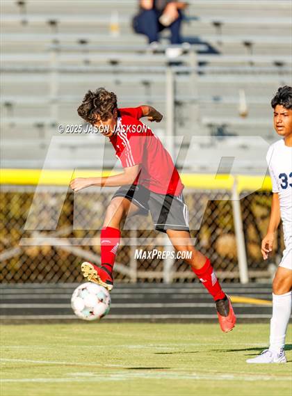Thumbnail 1 in Southern Lee @ Hoke County photogallery.