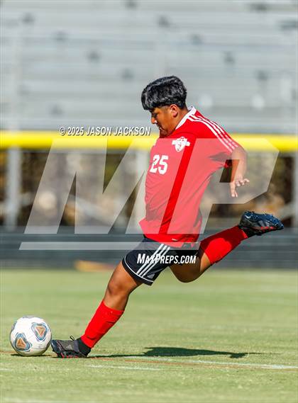 Thumbnail 3 in Southern Lee @ Hoke County photogallery.