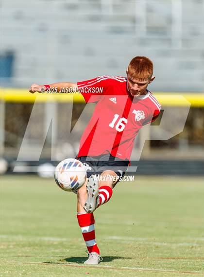 Thumbnail 1 in Southern Lee @ Hoke County photogallery.