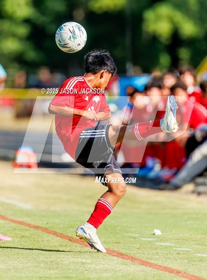 Thumbnail 2 in Southern Lee @ Hoke County photogallery.