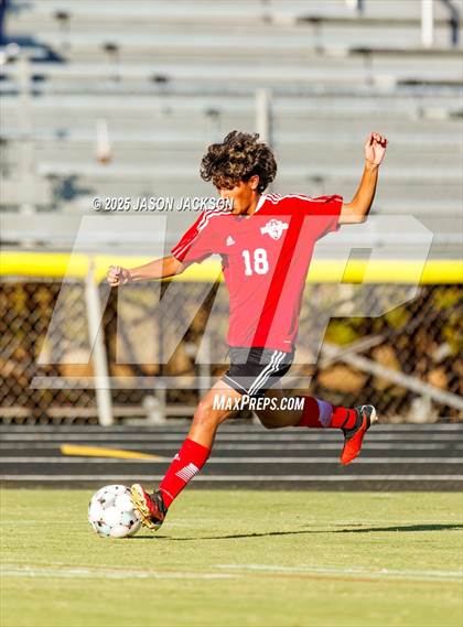 Thumbnail 3 in Southern Lee @ Hoke County photogallery.