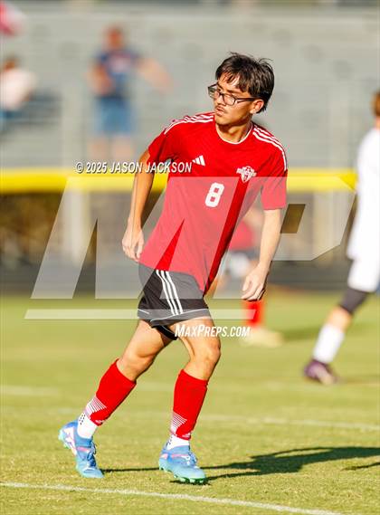 Thumbnail 3 in Southern Lee @ Hoke County photogallery.