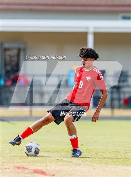Thumbnail 2 in Southern Lee @ Hoke County photogallery.