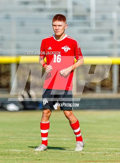 Thumbnail 1 in Southern Lee @ Hoke County photogallery.