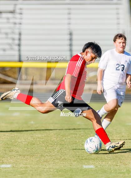 Thumbnail 1 in Southern Lee @ Hoke County photogallery.
