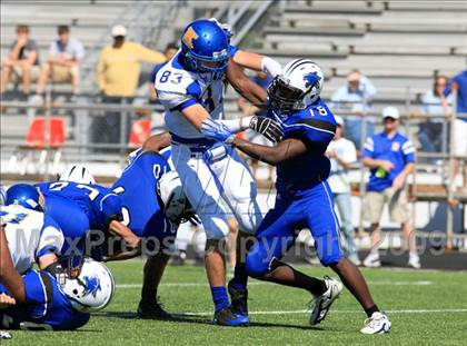 Thumbnail 1 in Klein @ Dekaney photogallery.