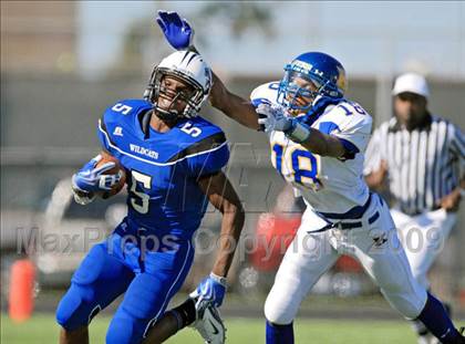 Thumbnail 3 in Klein @ Dekaney photogallery.