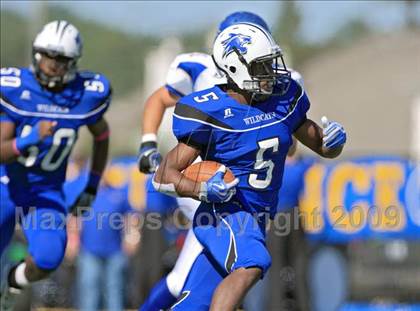 Thumbnail 3 in Klein @ Dekaney photogallery.