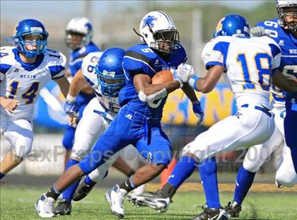 Thumbnail 2 in Klein @ Dekaney photogallery.