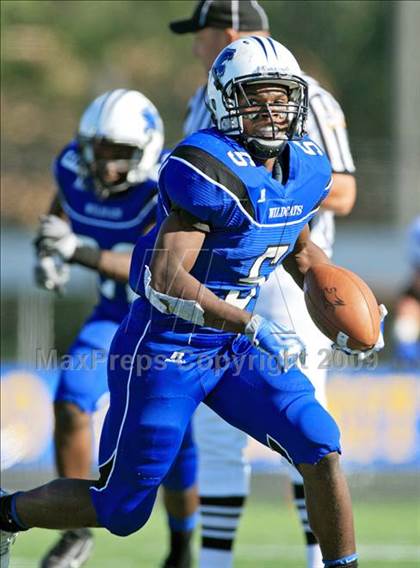 Thumbnail 2 in Klein @ Dekaney photogallery.